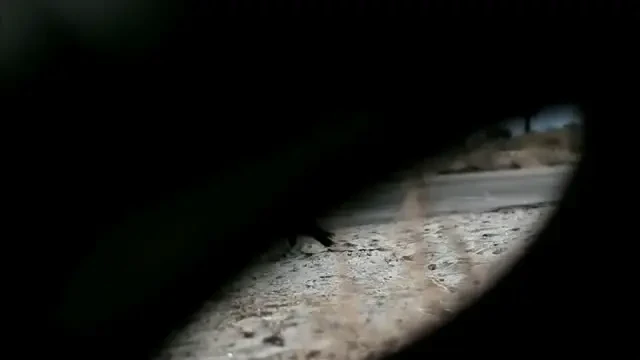 VIDEO: Anvelopa mortala! :)